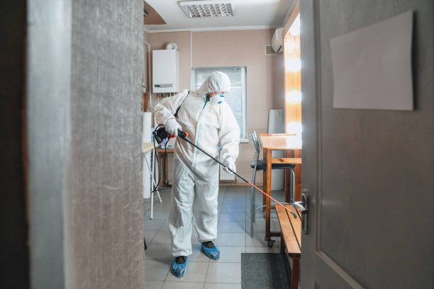 Trusted Chadron, NE Mold Removal Experts